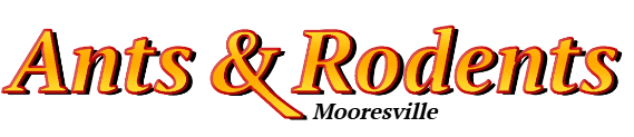 Mooresville Ant Exterminator & Rodent Control Company Logo